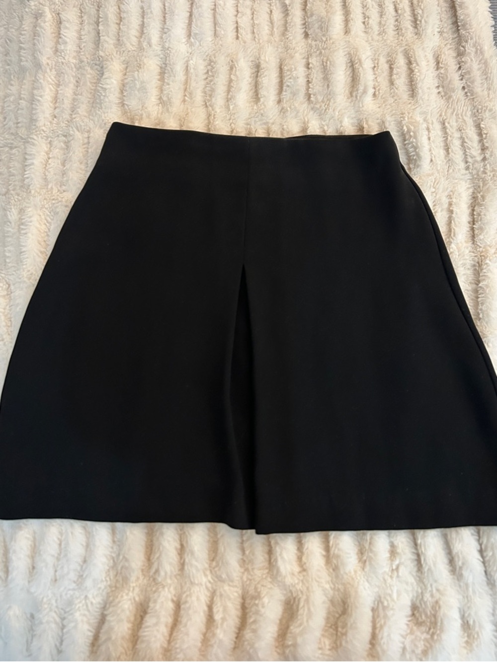 Zara Mini A-Line Skirt